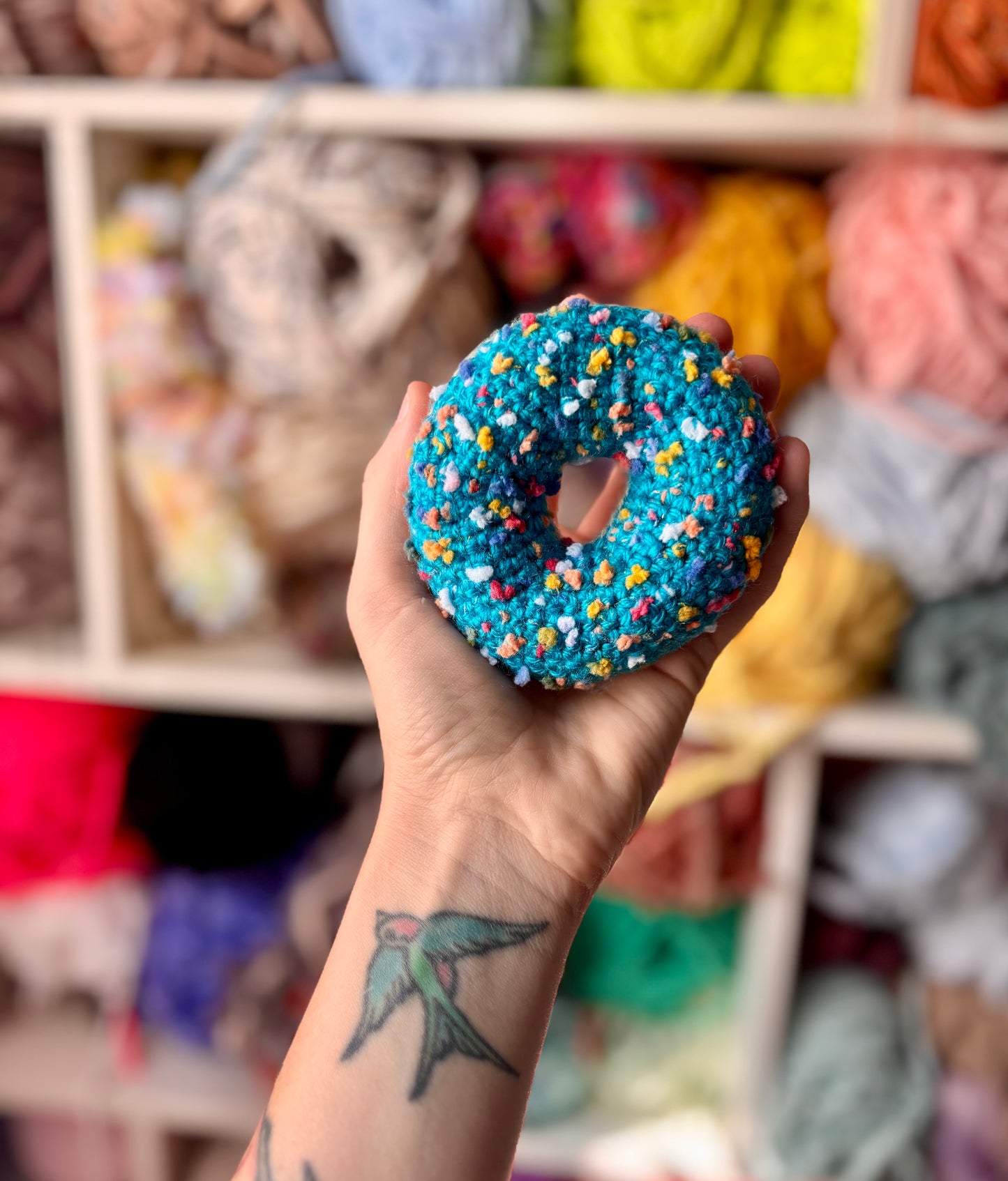 Catnip Raspberry Sprinkle Donut